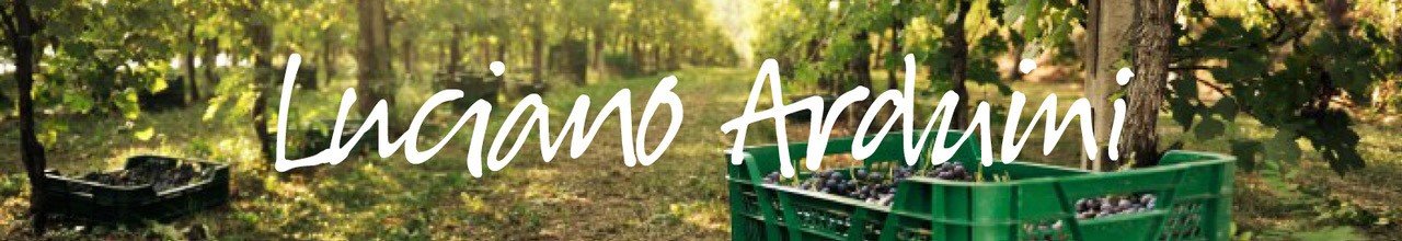 Luciano Arduini