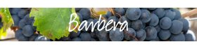 Barbera