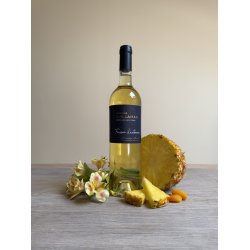  Domaine Guillaman Frisson d'Automne 2023