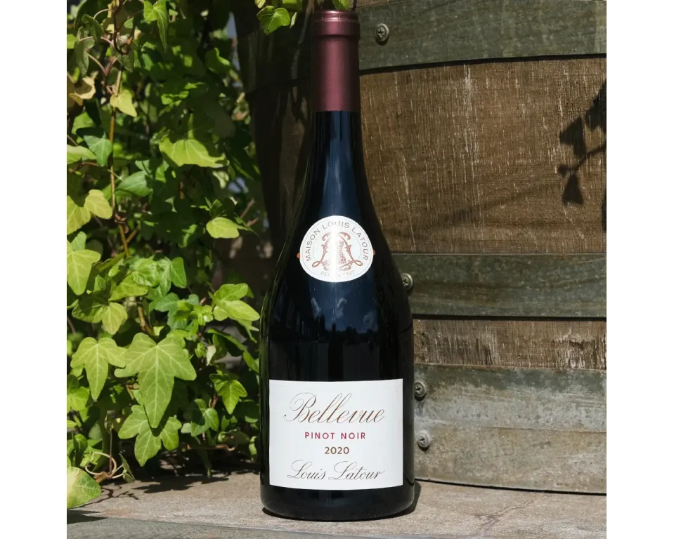 Louis Latour Bellevue Pinot Noir 2022